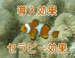 ���������^���Z���s�[��������
