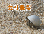 株式会社ハンズ会社案内