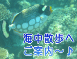 �N���Q�������[�X�ŊC���U���̂��ē�