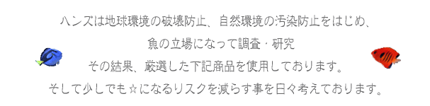 ナンヨウハギとフレームエンジェル水槽