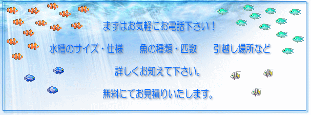 水槽のサイズや熱帯魚でお引越し金額が違います