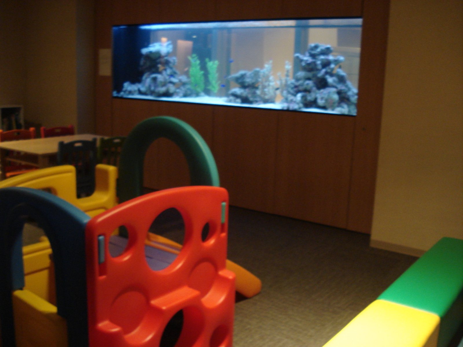 子ども向けスペースに設置された水槽